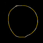 Triple Fusion Fine Chain