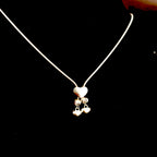 Twin Hearts Dangler Necklace